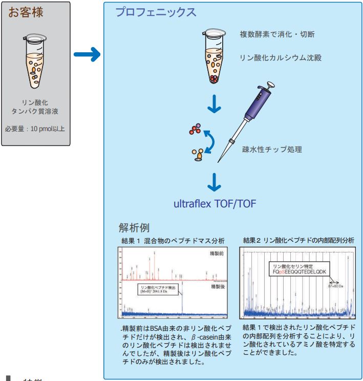 タンパク質分析(プロテオーム解析)受託サービスカタログ｜技術資料｜技術｜いであ株式会社